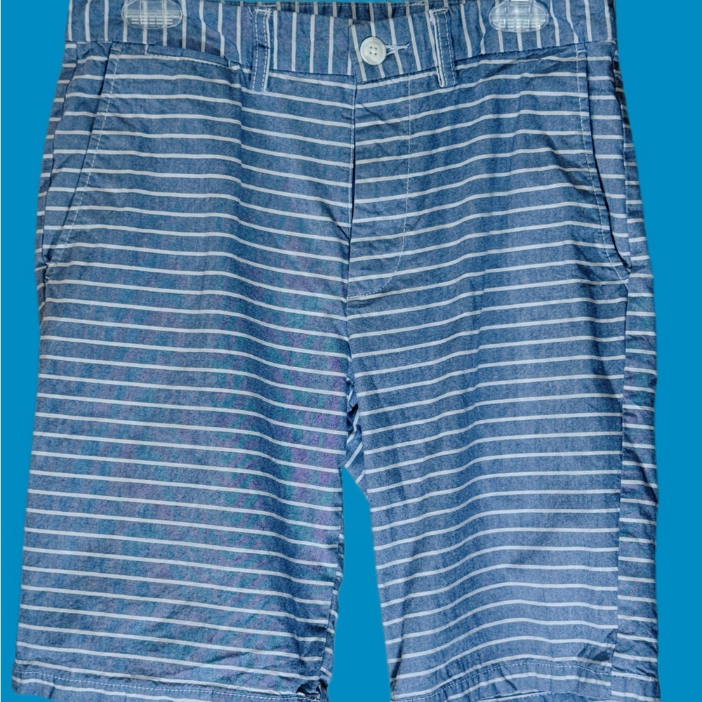 Old Navy Light Blue Striped Shorts